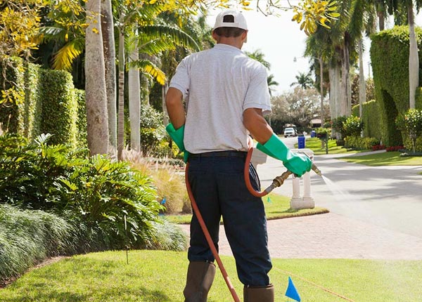 About Naylor MO Pest Control